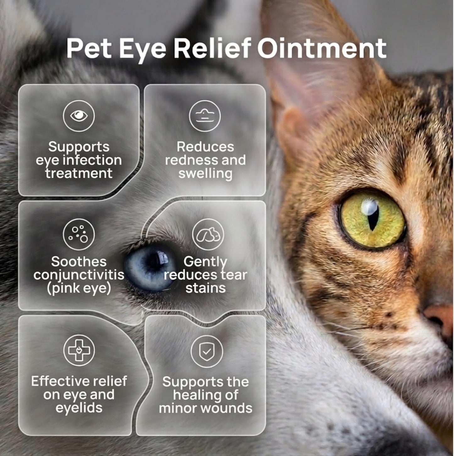 Vazuli animal conjunctivitis relief cream showing ingredients on the product label