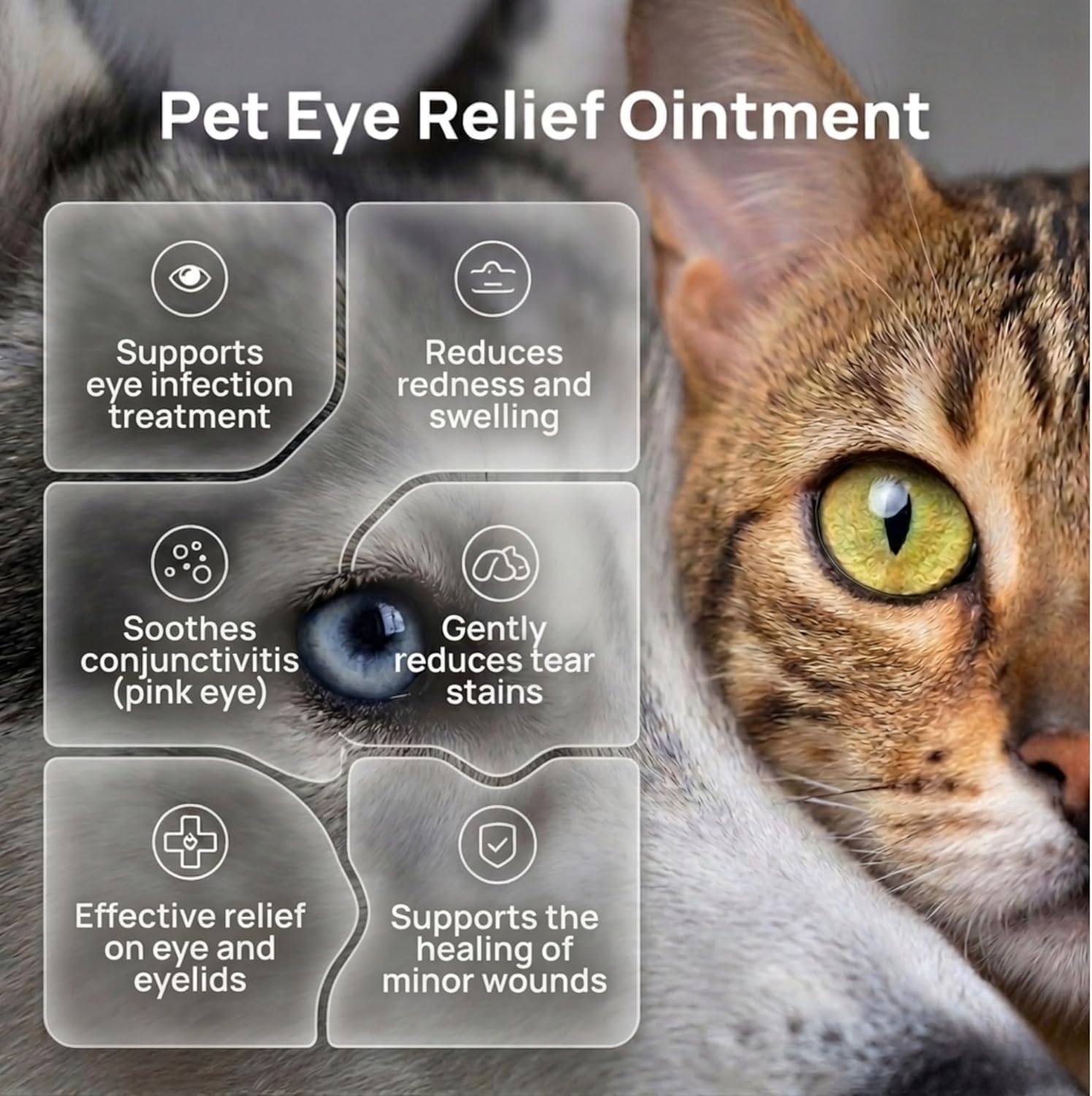 Vazuli animal conjunctivitis relief cream showing ingredients on the product label