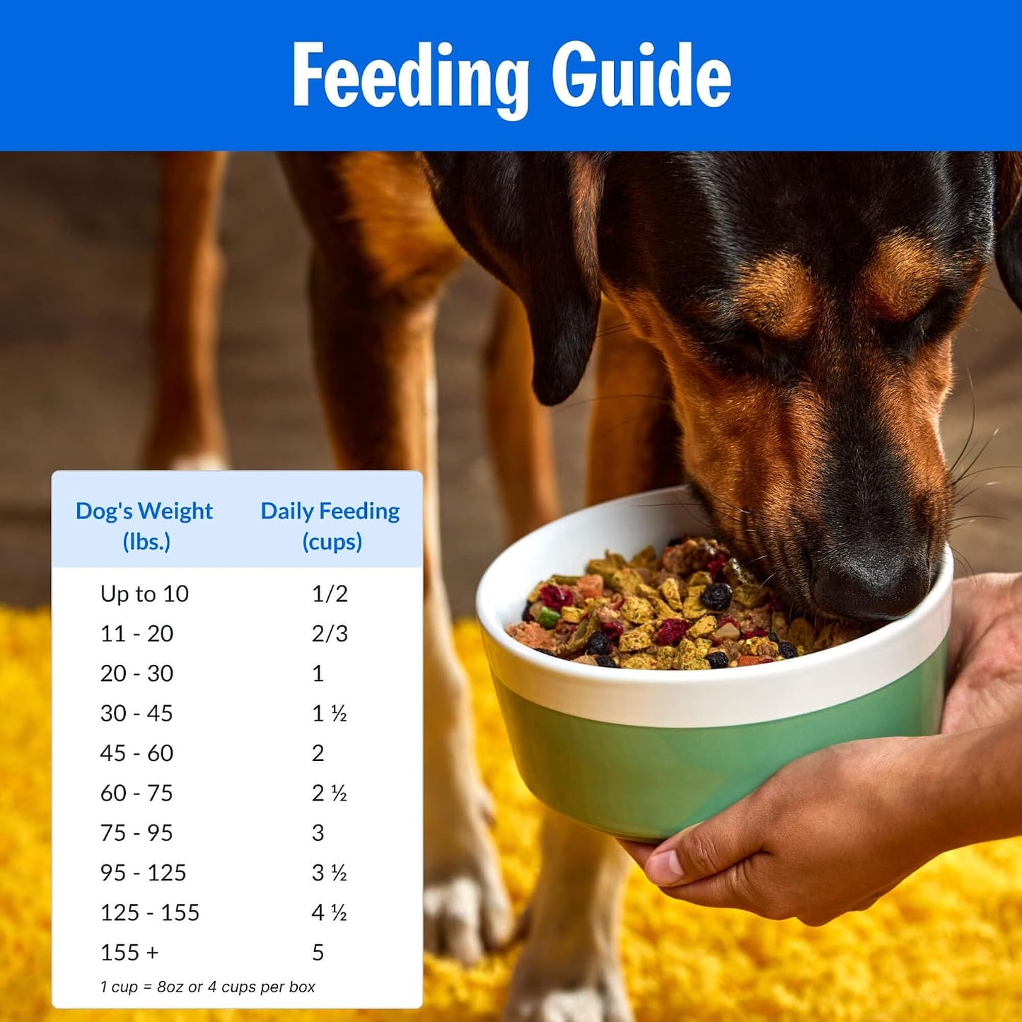 PetPlate authentic USA imported premium dry dog food box close up