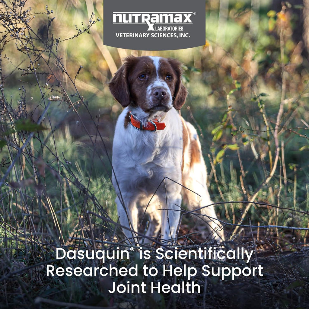 Nutramax Dasuquin 150 count chewable tablets product label ingredient details
