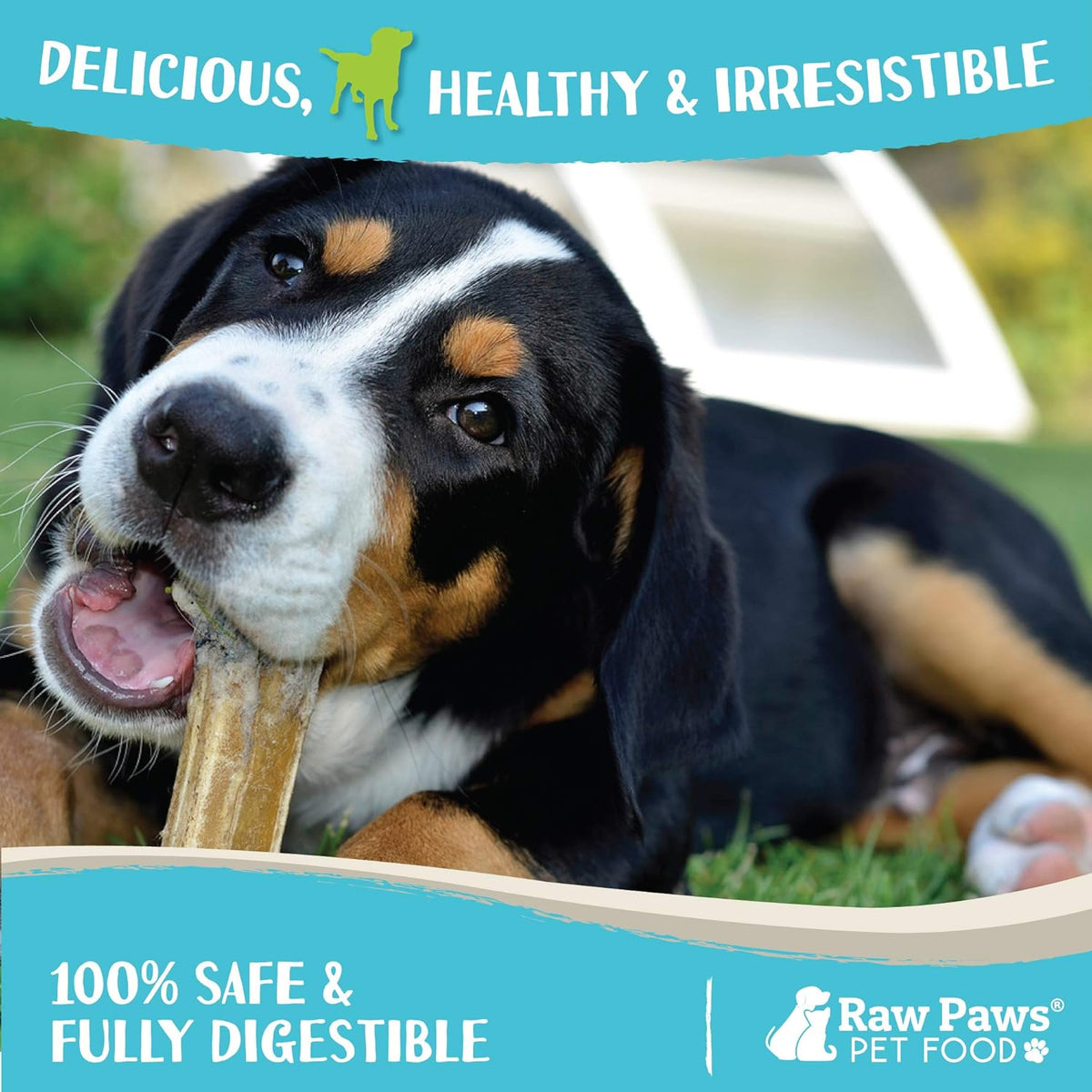 Durable compressed rawhide sticks for tartar control and healthy teeth