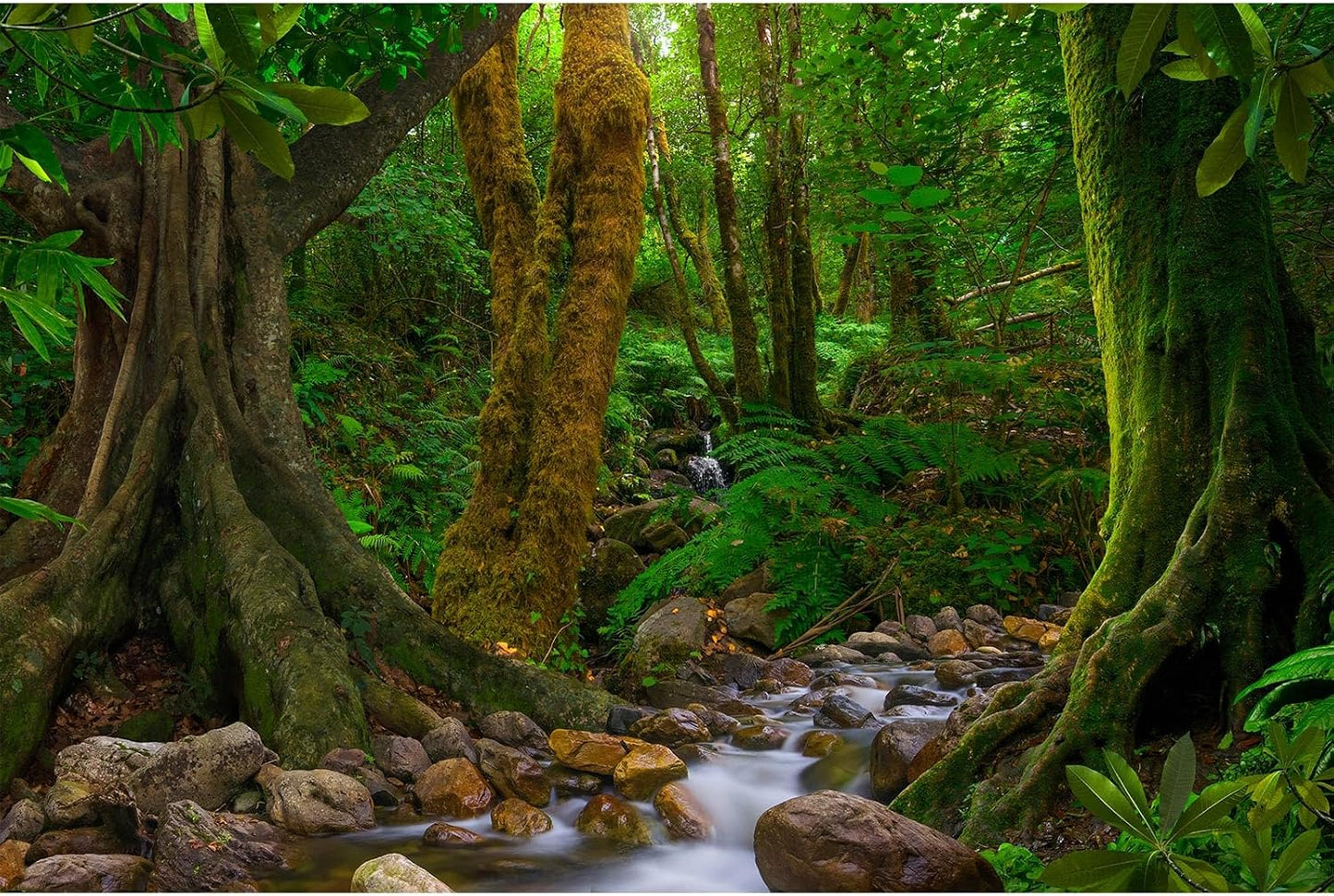 Rock Wall Reptile Habitat Background Greenery-Infused Room Vertical Moss Wall Terrarium Background Nature's Embrace Tropical Green Plants Fish Tank Background Moss Wall Aquarium Background 24x16in - Image 14