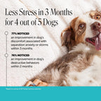 Pet Honesty beef liver flavored soft chews for canine stress relief