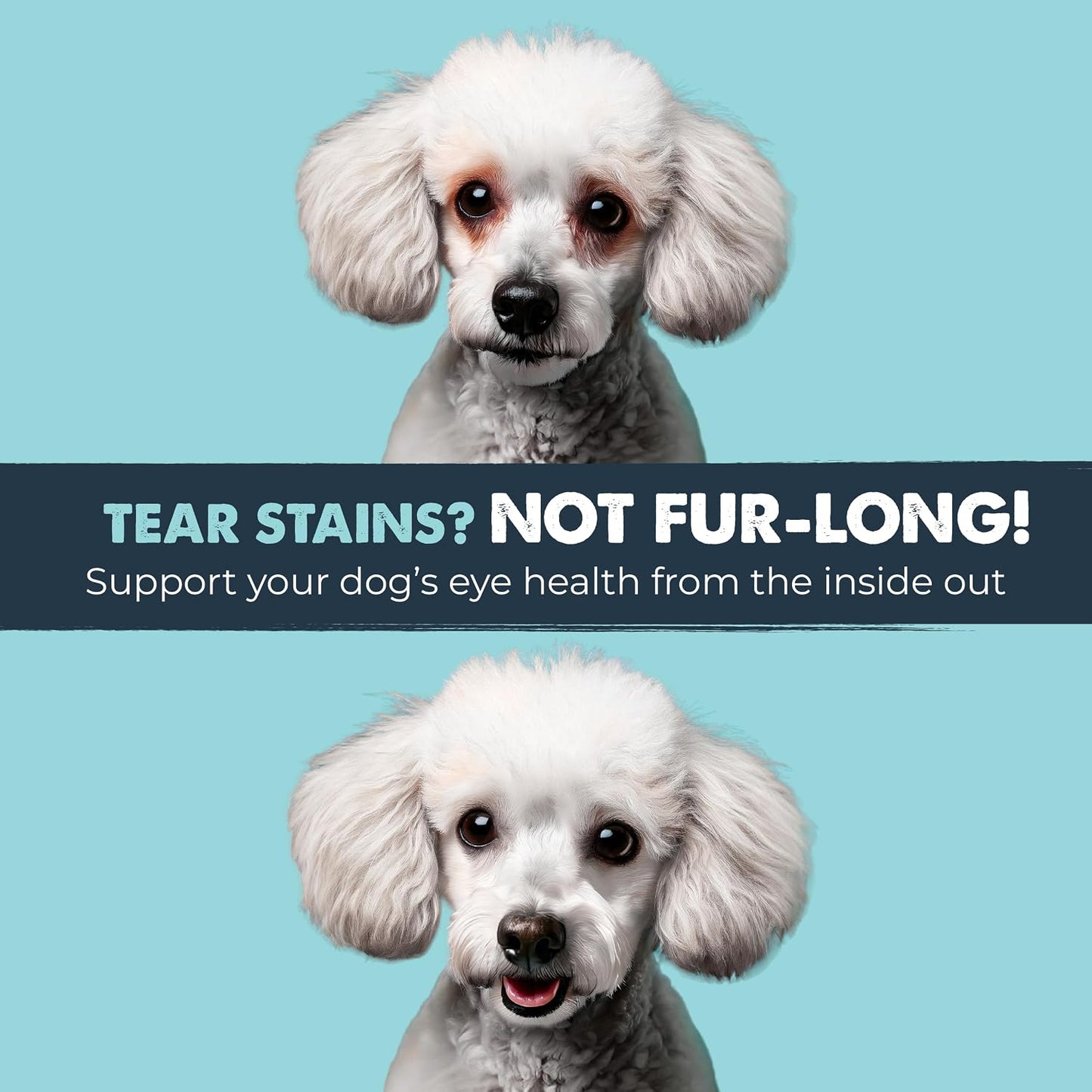 Mighty Paw Waggables Eyes product label details and active ingredients