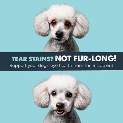 Mighty Paw Waggables Eyes product label details and active ingredients