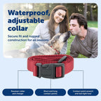 USA imported PetSafe pet fence collar packaging and charger