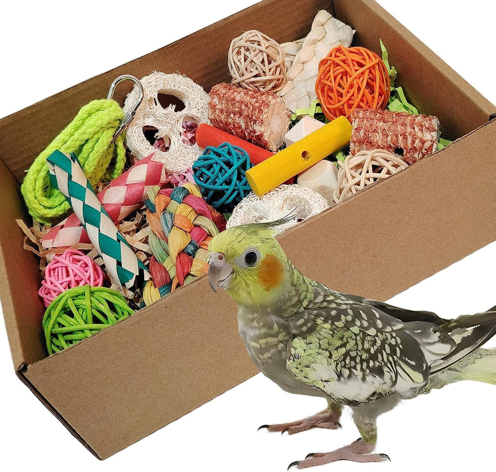 Kencunay Colorful Parrot Foraging And Tearing Toy Box front view