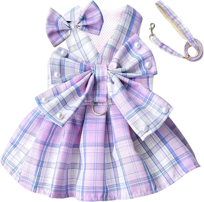 PETCARE matching nylon leash attached to purple dog dress