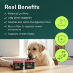 Close up of Wuffes gut balance soft chews for dogs