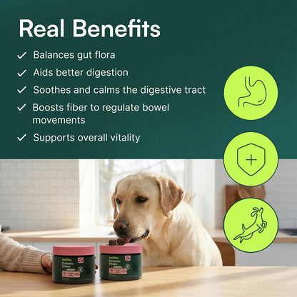 Close up of Wuffes gut balance soft chews for dogs