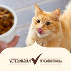 Nutrish Grain Free Ocean Lover's Whole Health Blend Variety Pack Wet Cat Food, 2.8 oz. Cup, 12 Count (Rachael Ray) - Image 10