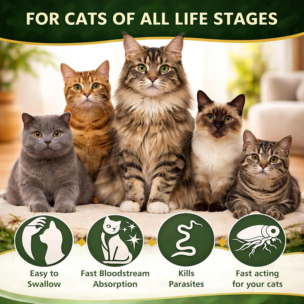 Imported Ollistart cat dewormer for roundworms and whipworms treatment