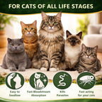 Imported Ollistart cat dewormer for roundworms and whipworms treatment