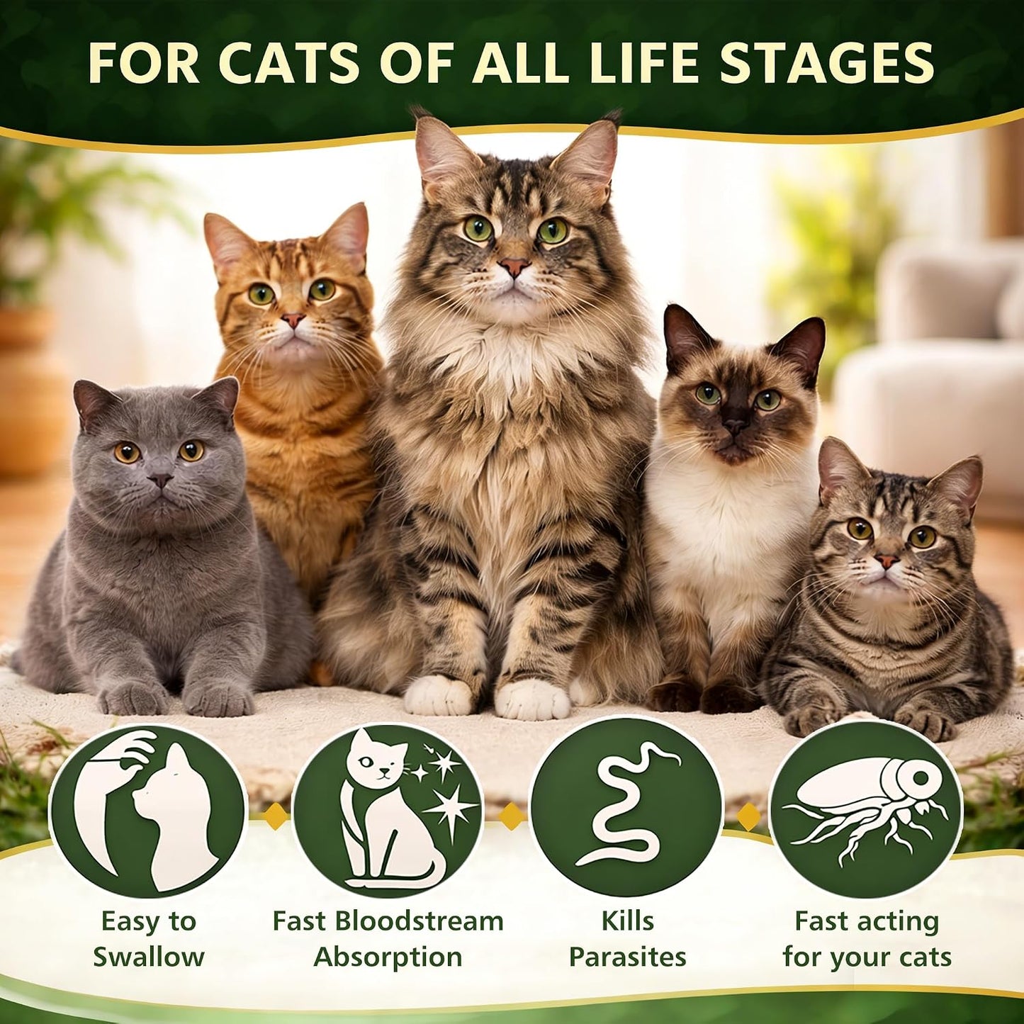 Imported Ollistart cat dewormer for roundworms and whipworms treatment