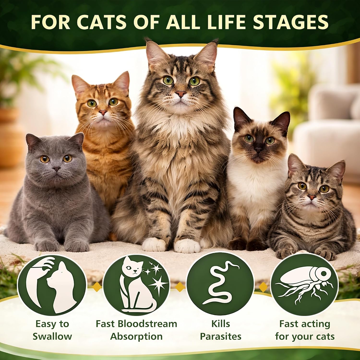 Imported Ollistart cat dewormer for roundworms and whipworms treatment