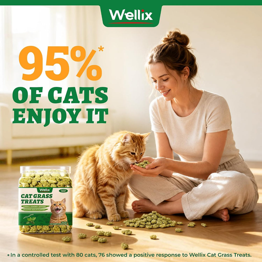 Wellix Cat Grass Treats with Catnip, Hairball & Digestive Support, 13.05 oz - Image 2