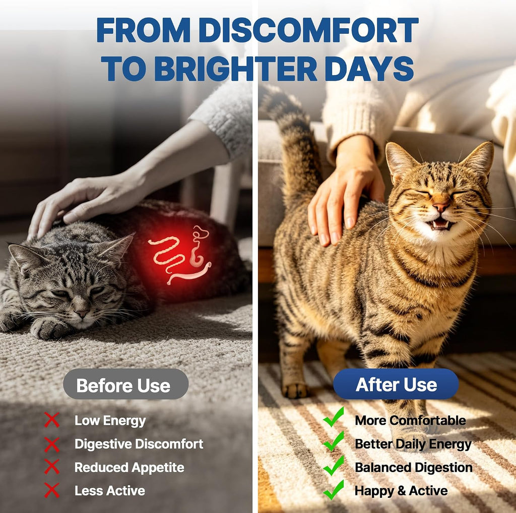 Natural liquid digestive cleanser for kittens and adult cats