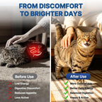 Natural liquid digestive cleanser for kittens and adult cats