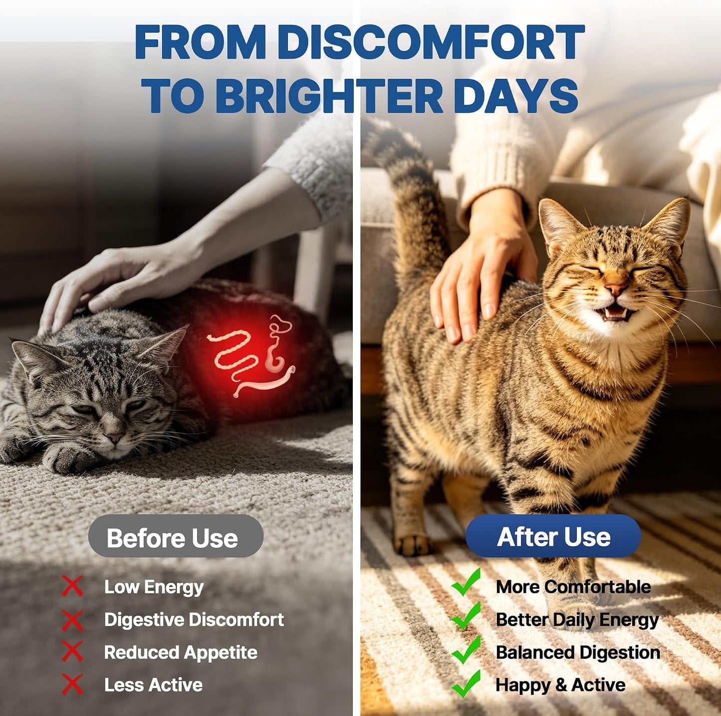 Natural liquid digestive cleanser for kittens and adult cats