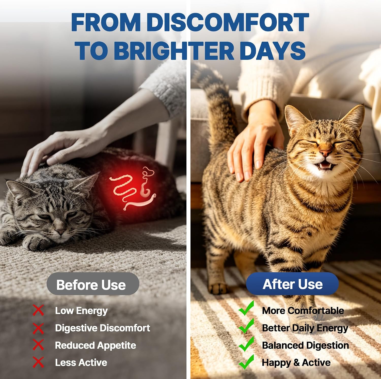Natural liquid digestive cleanser for kittens and adult cats