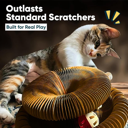 Premium packaging view of the imported Kitty Kurlz magnetic cat toy and reversible scratcher combo.