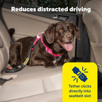 PetSafe dog car seat belt attached to harness