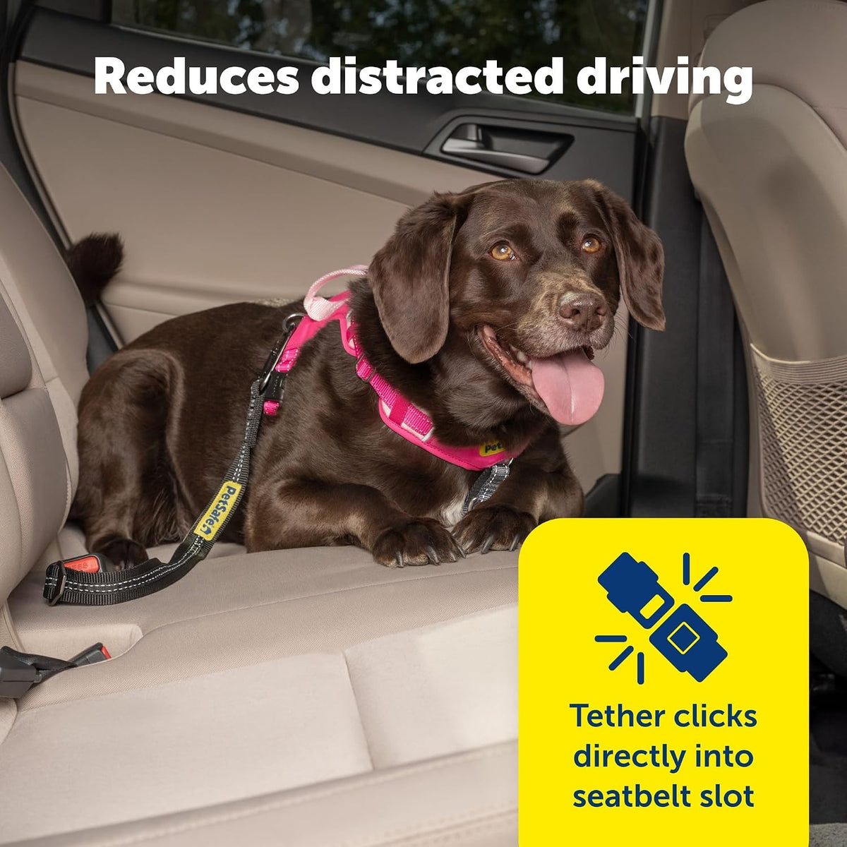 PetSafe dog car seat belt attached to harness