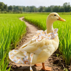 Chicken diaper set displayed with the 5-foot walking leash