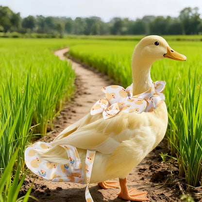 Five foot pet walking leash attached to poultry harness metal loop