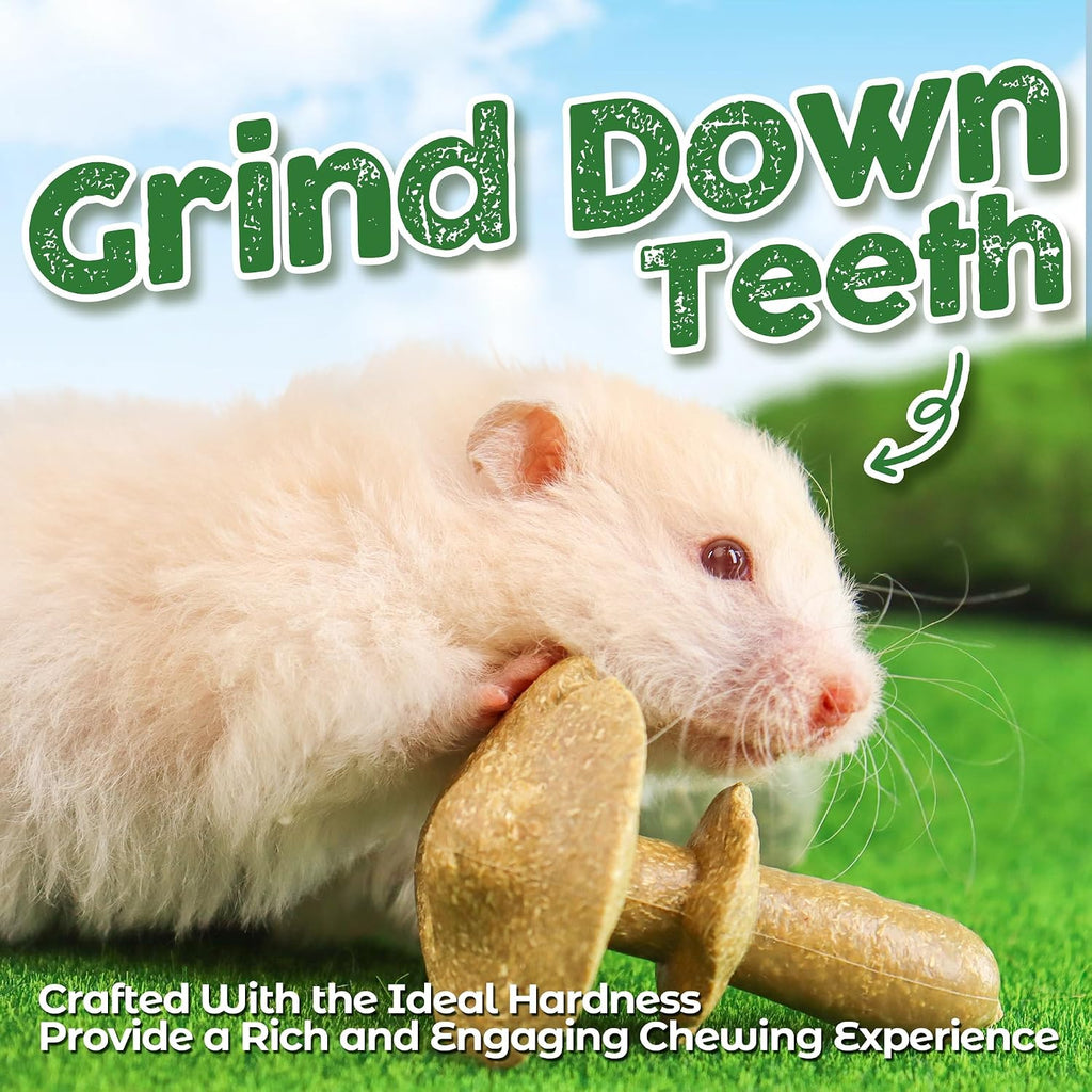 Three TEEWY mushroom shaped edible rodent toys made with pumpkin and carrot.