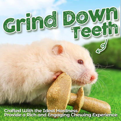 Three TEEWY mushroom shaped edible rodent toys made with pumpkin and carrot.
