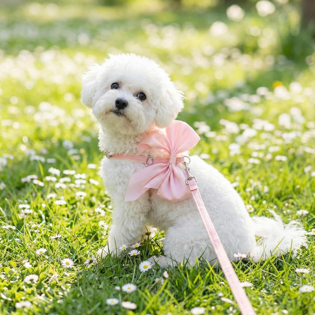 Close up of detachable pink bow on cat harness