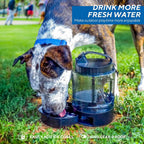 Lesotc BPA free large pet bottle showing the slide out tray feature.