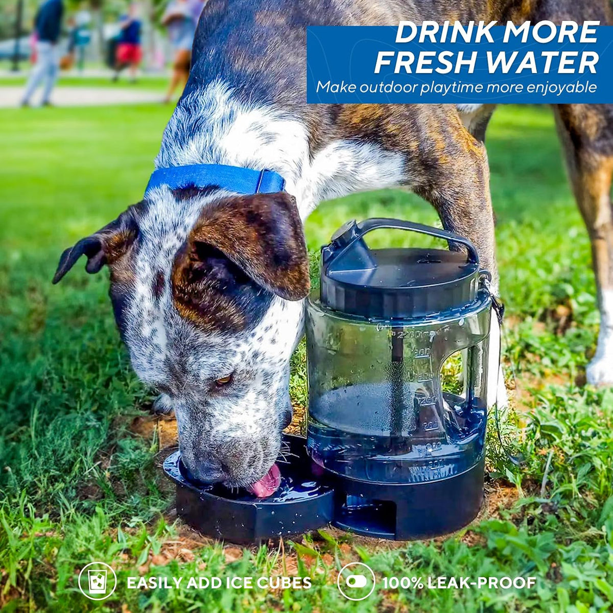 Lesotc BPA free large pet bottle showing the slide out tray feature.