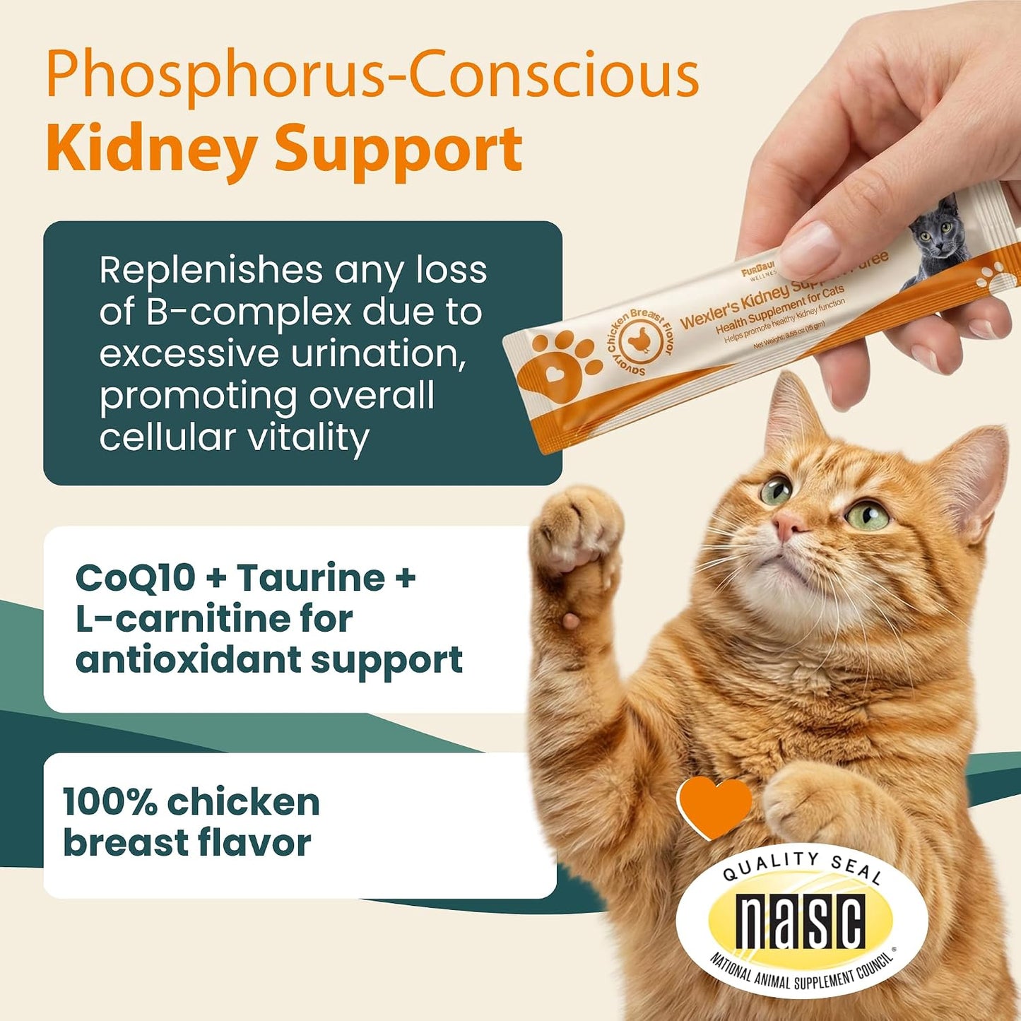 Low phosphorus cat kidney supplement with taurine and B complex