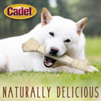 Authentic USA imported Cadet premium rawhide dog chew close up view