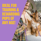 Wellness lamb and salmon puppy treats grain free formula back packaging ingredients