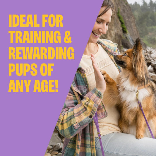Wellness lamb and salmon puppy treats grain free formula back packaging ingredients