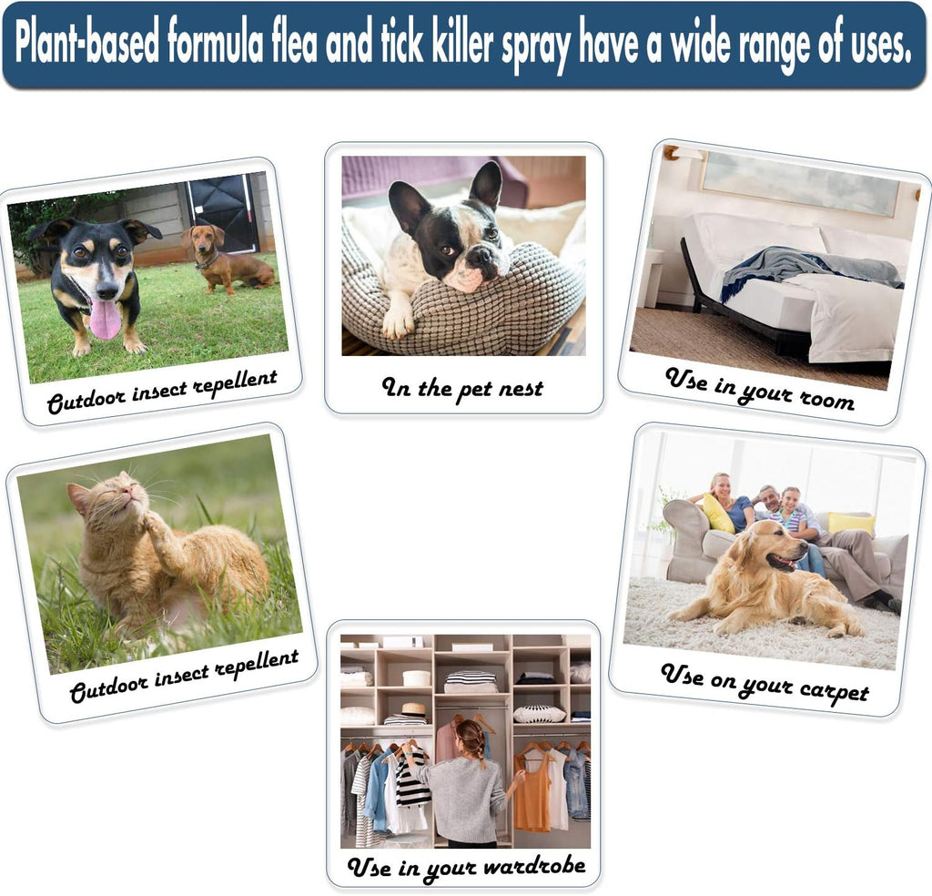 Applying ShengKou plant-based spray on pet bedding