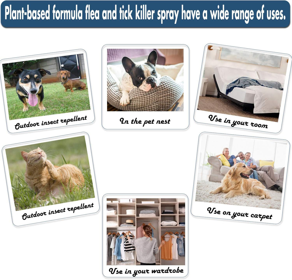Applying ShengKou plant-based spray on pet bedding