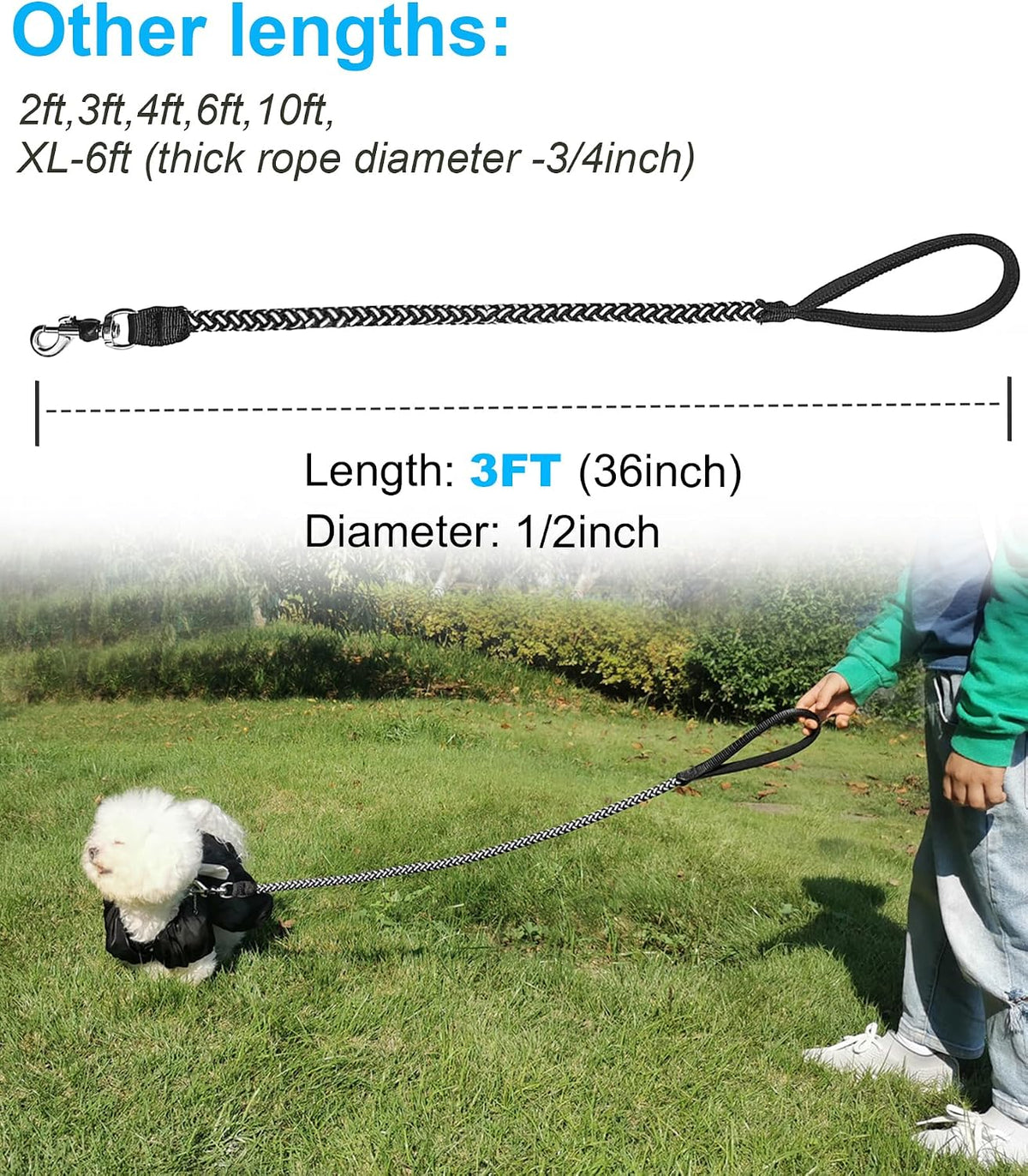 Premium heavy duty pet training leash machine sewn connection stitch detail