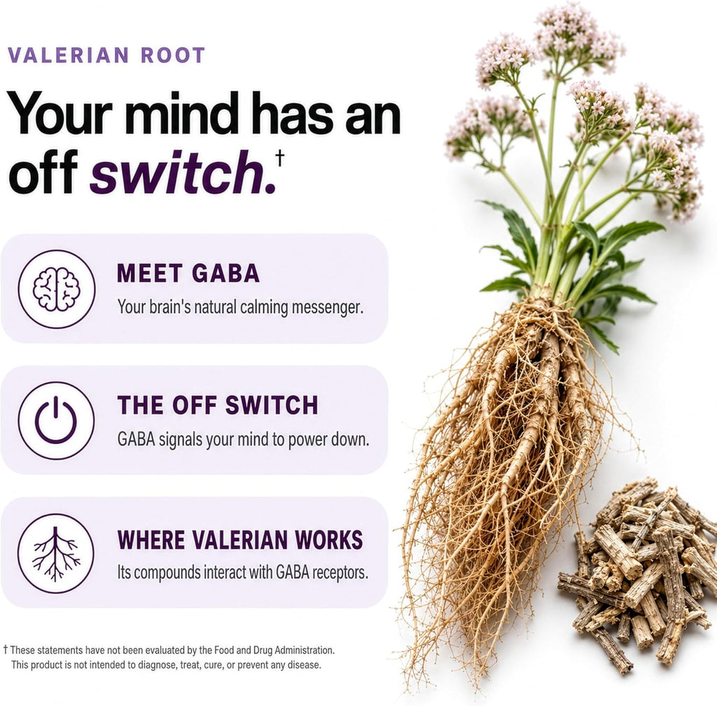 Liposomal Magnesium L-Threonate with Apigenin, L-Theanine, & Valerian Root - Image 11
