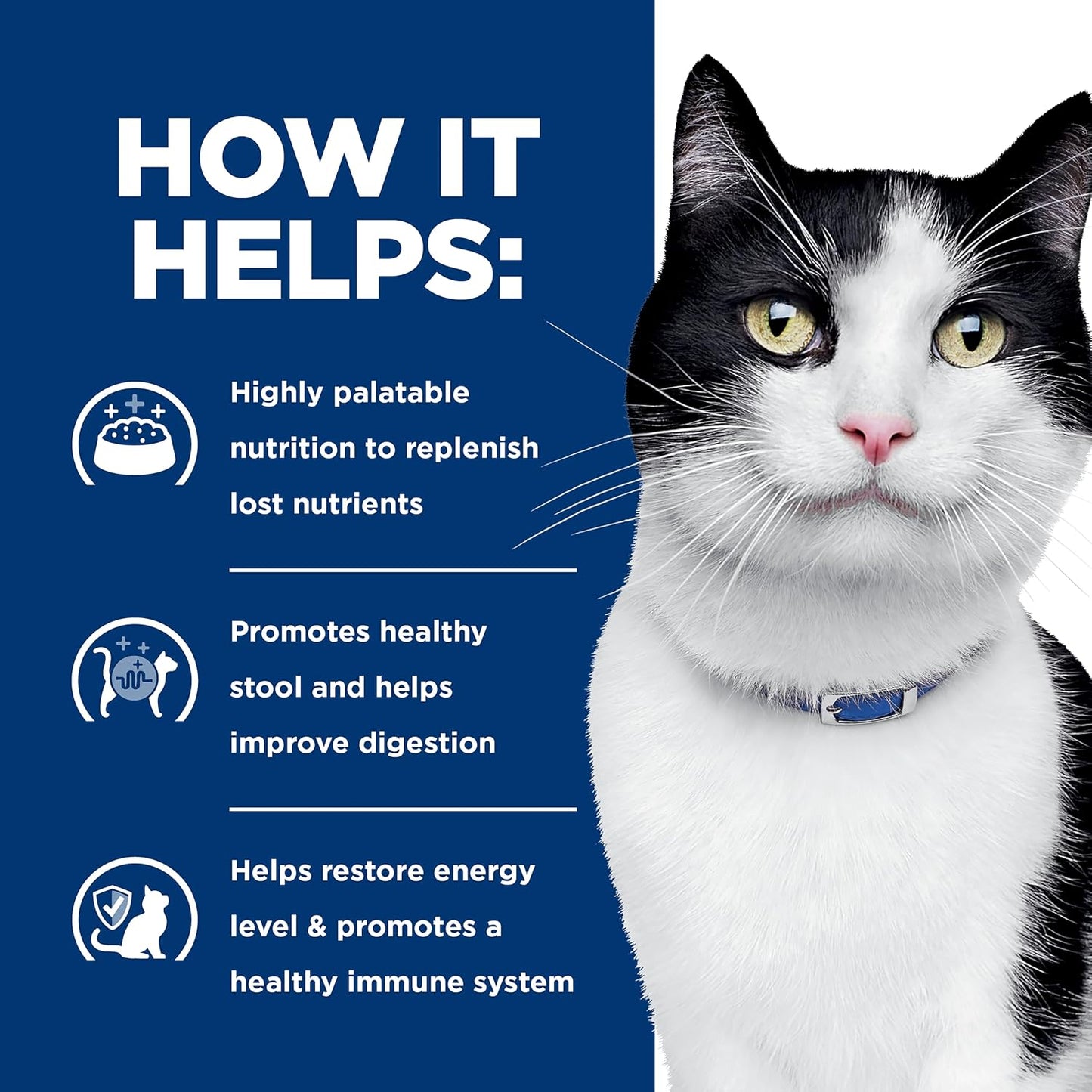 Premium veterinary formula cat food pouches for adult digestive care