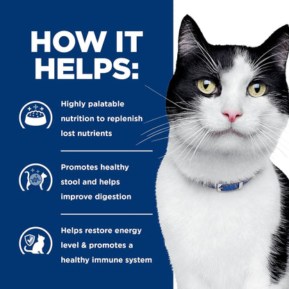 Premium veterinary formula cat food pouches for adult digestive care