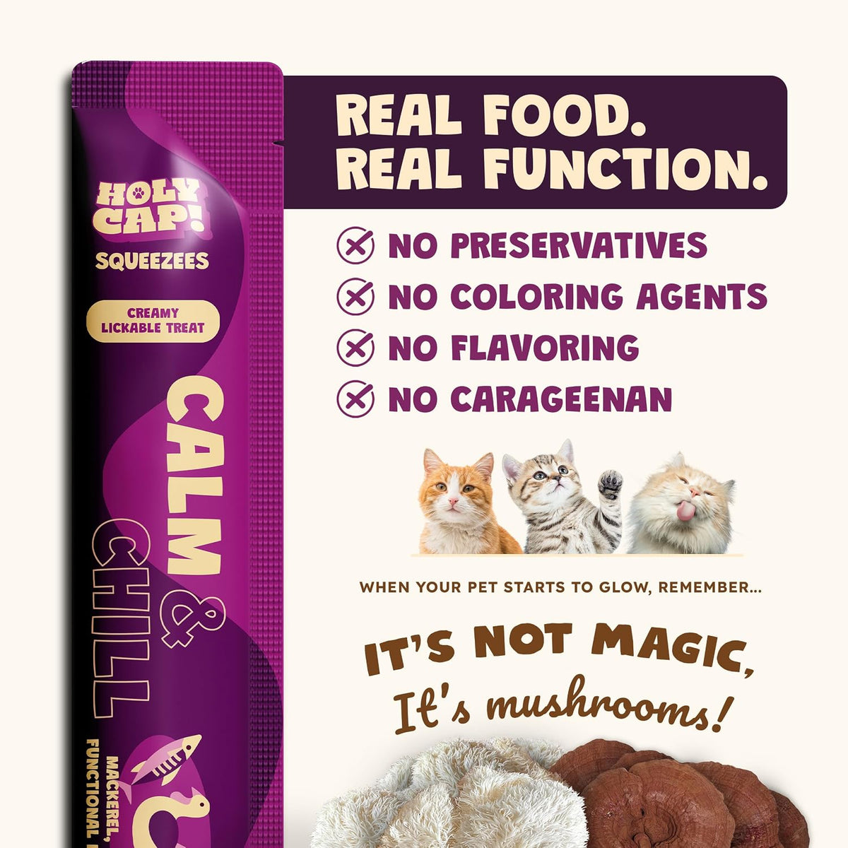 Holy Cap cat puree treat being squeezed onto a lick mat