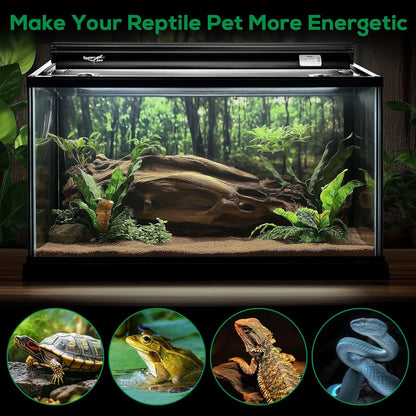Terrarium canopy lighting fixture with detachable power cord assembly