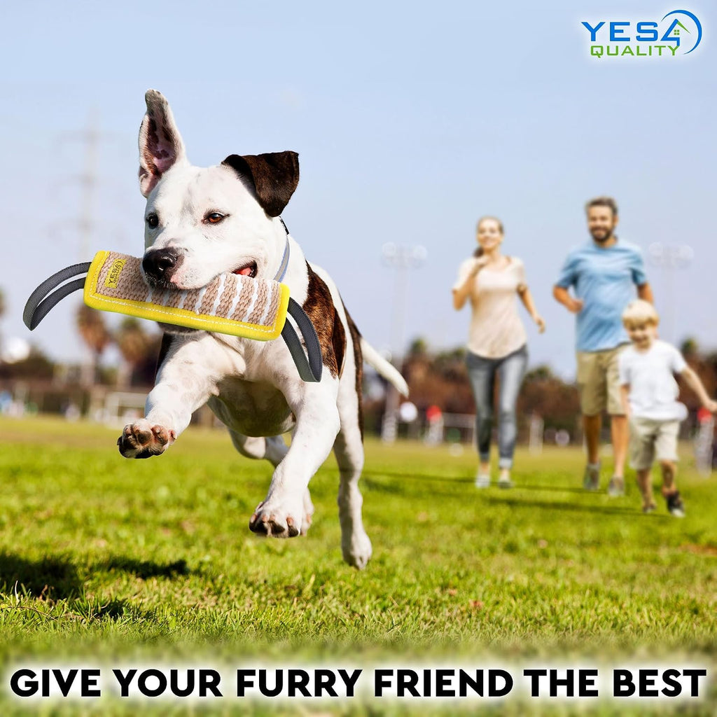 YES4QUALITY authentic USA imported pet training accessory