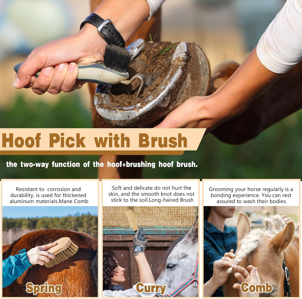 Top view of 12 piece horse brush set for equine maintenance