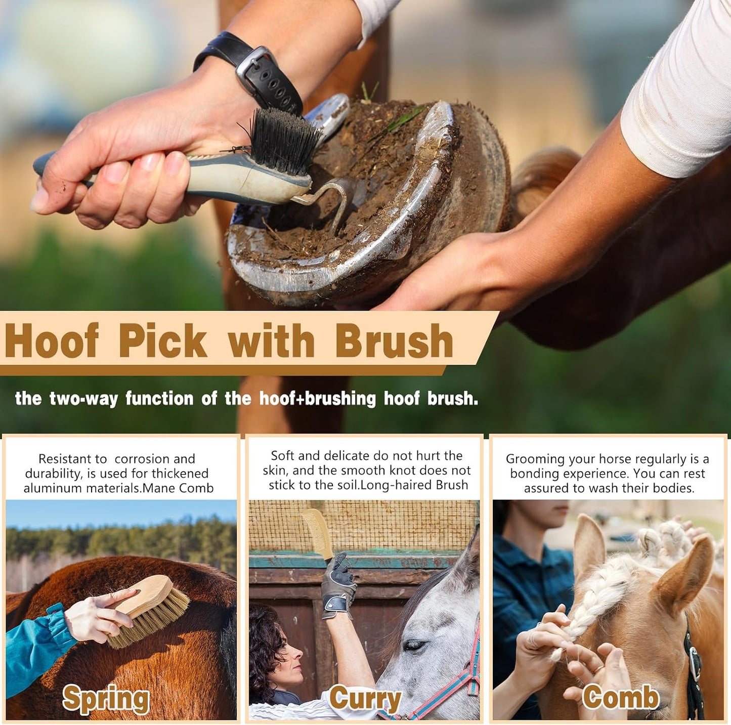 Top view of 12 piece horse brush set for equine maintenance