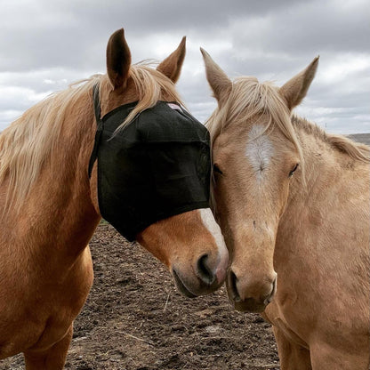EquiVizor horse fly mask demonstrating the triple-dart vizor structure